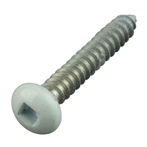 white head sheet metal screws|white stainless steel wood screws.